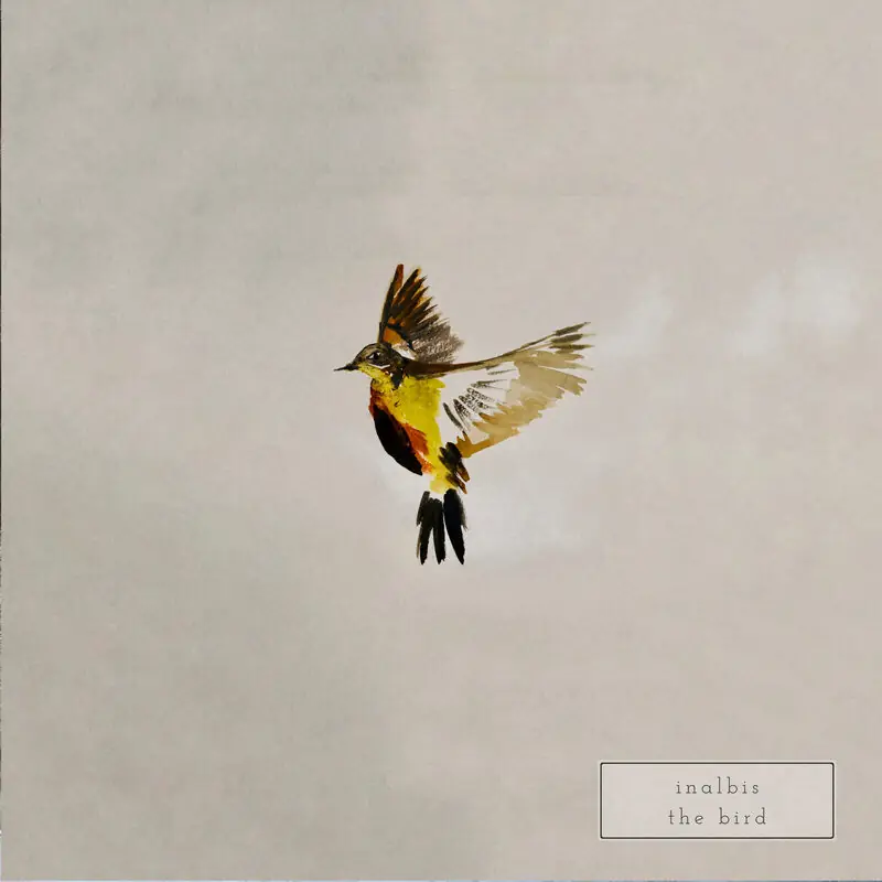 Cover art for The Bird